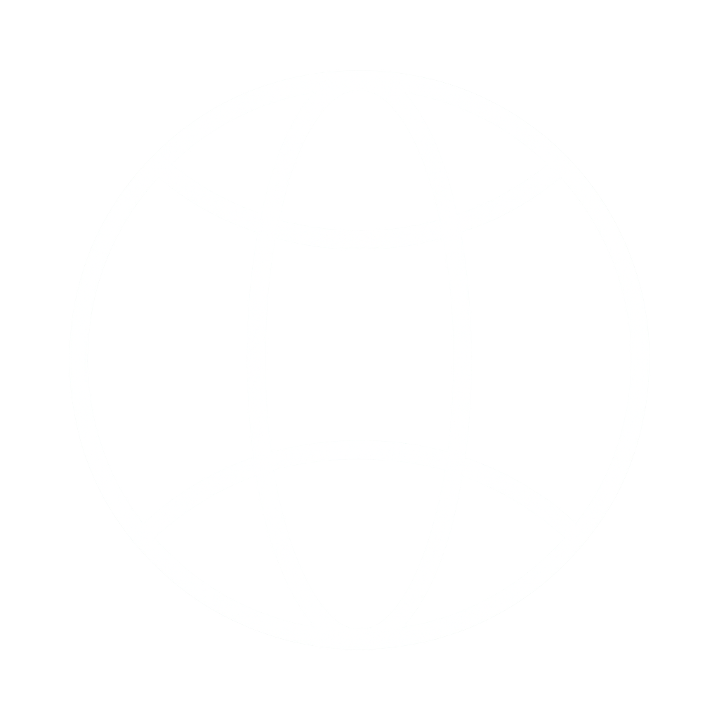 language icon